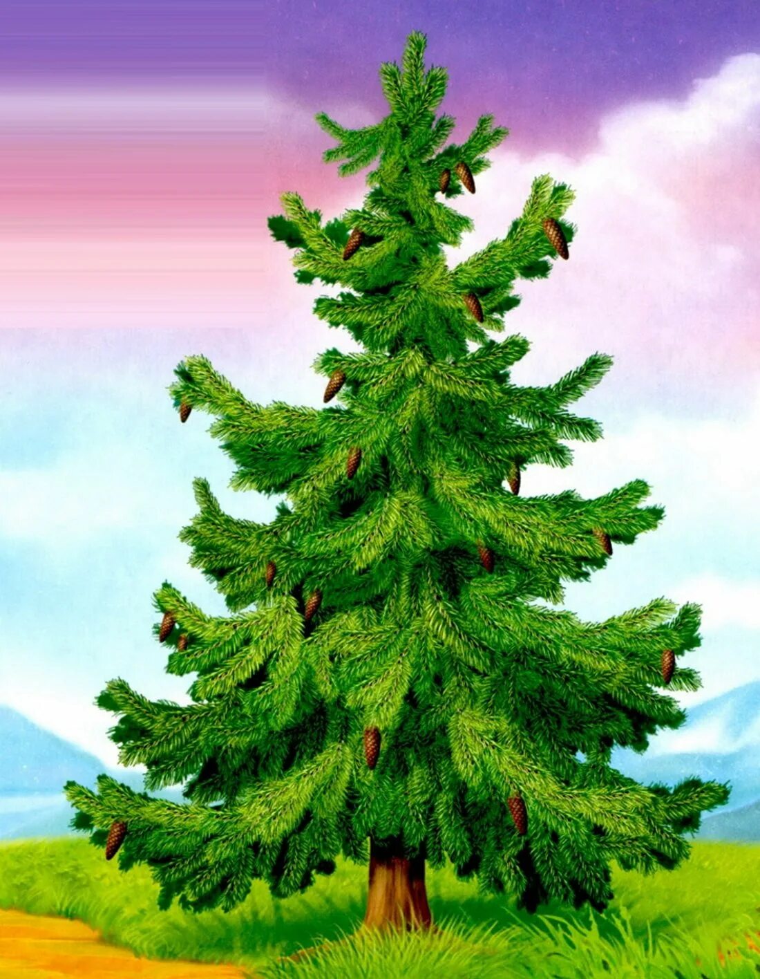 Ель рисунок