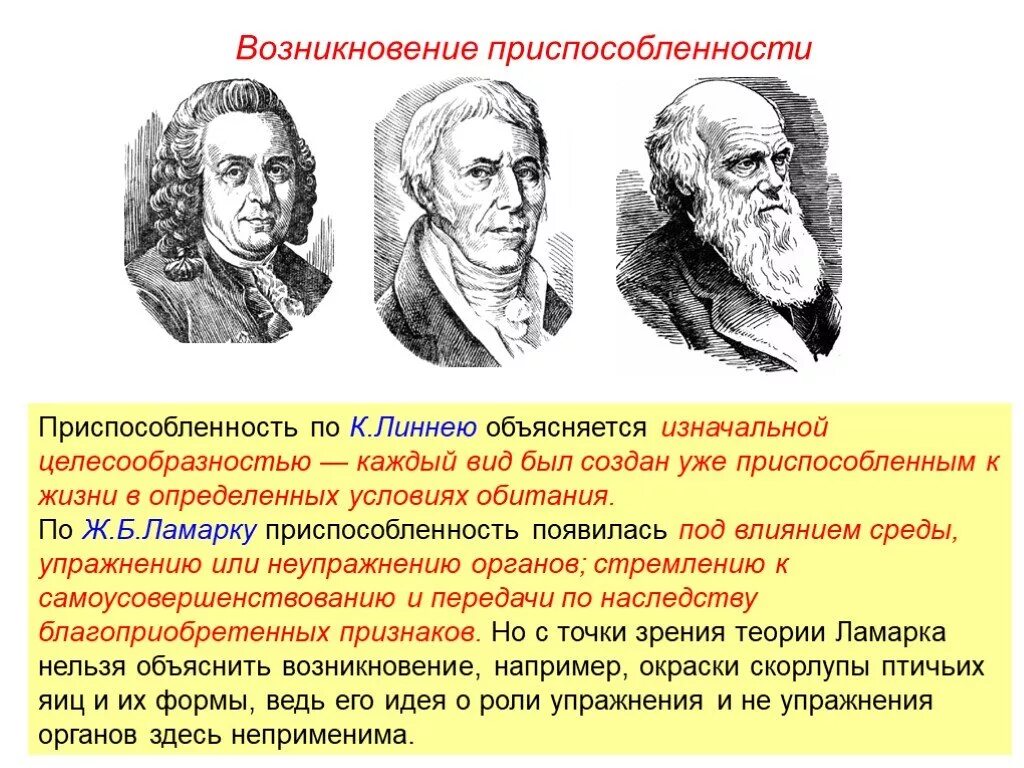 Как ламарк объяснял многообразие видов и приспособленность. Возникновение приспособленности. Объясните возникновение приспособленности. Возникновение видов и приспособленности организмов. Возникновение приспособленности по Дарвину.