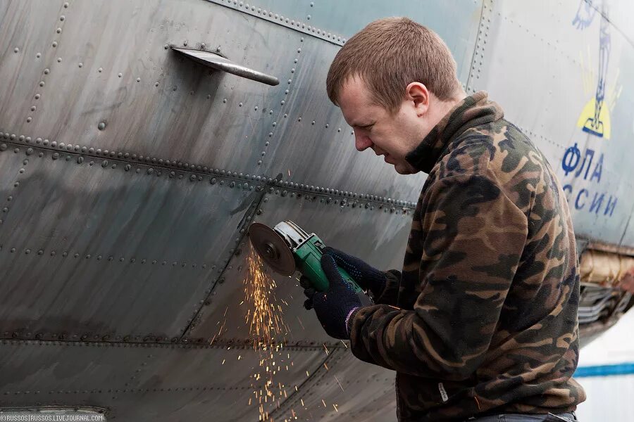 московская реновация пилят деревья. фабрициуса 22. москву пилят. москву пилят.