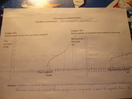 Наблюдение корень