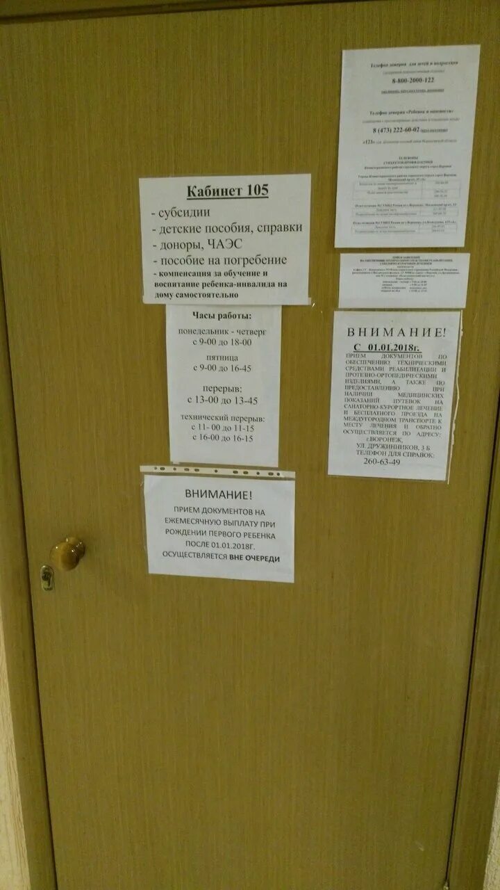 Работы жителей. Колледж информационных технологий и финансов воронеж. Соцзащита воронежская. Соцзащита воронеж дружинников. Акция с мамой безопасно.
