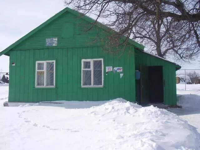 волки в кирсановском районе. авария на трассе пенза тамбов 18. кирсановский горнолыжный курорт. снежный десант тамбовской области. снежный десант в заринском районе село сосновке.