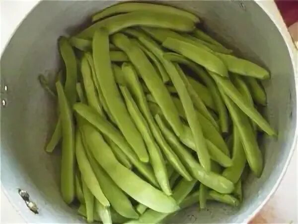 Чем отличается спаржевая фасоль от стручковой фасоли. Спаржевая фасоль семена спагетти. фасоль спаржевая ориноко. фасоль спаржевая эксалто.