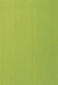 Зеленая 27