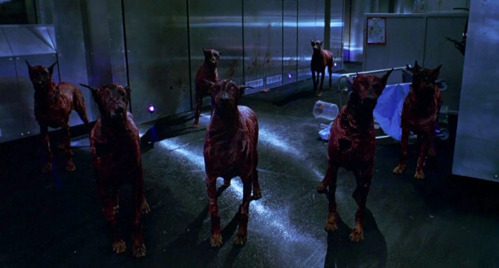 Зомби собака резидент эвил. Доберман из резидент ивел. Обитель зла фильм доберманы. Доберман из резидент ивел. Резидент ивел зомби псы.