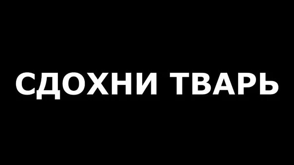 Дыры продажной твари