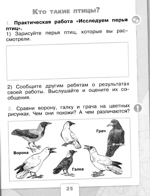 Птицы по окружающему миру 1 класс. Задание по окружающему миру 1 класс птицы. Задания про птиц 1 класс. Кто такие птицы практическая работа.