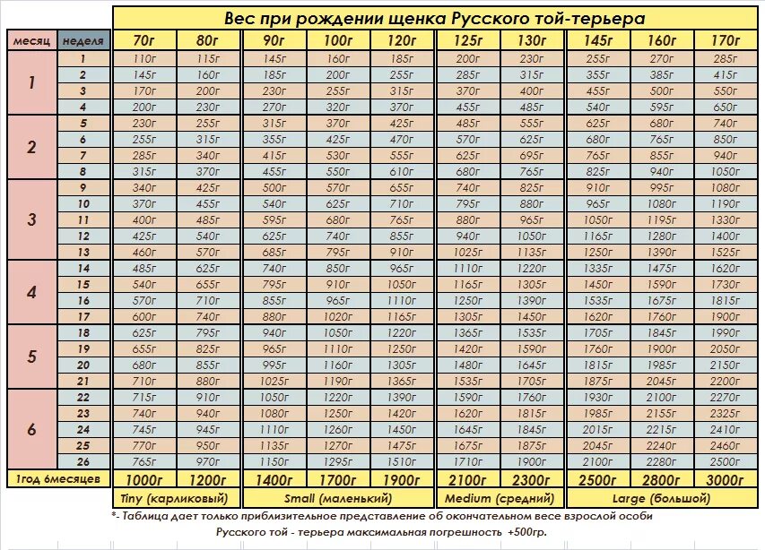 До скольки лет можно на сво. Вес йоркширского терьера в 1.5 месяца таблица стандарт и мини. Параметры щенков чихуахуа по месяцам таблица. Вес йоркширского терьера по месяцам таблица стандарт. Вес мини той терьера в 2 месяца.