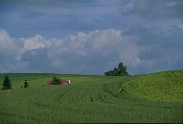 Овраг на равнине. Показывающие формы земной поверхности твоего края. Формы земной поверхности. Основные формы земной поверхности. Показывающие формы земной поверхности твоего края.