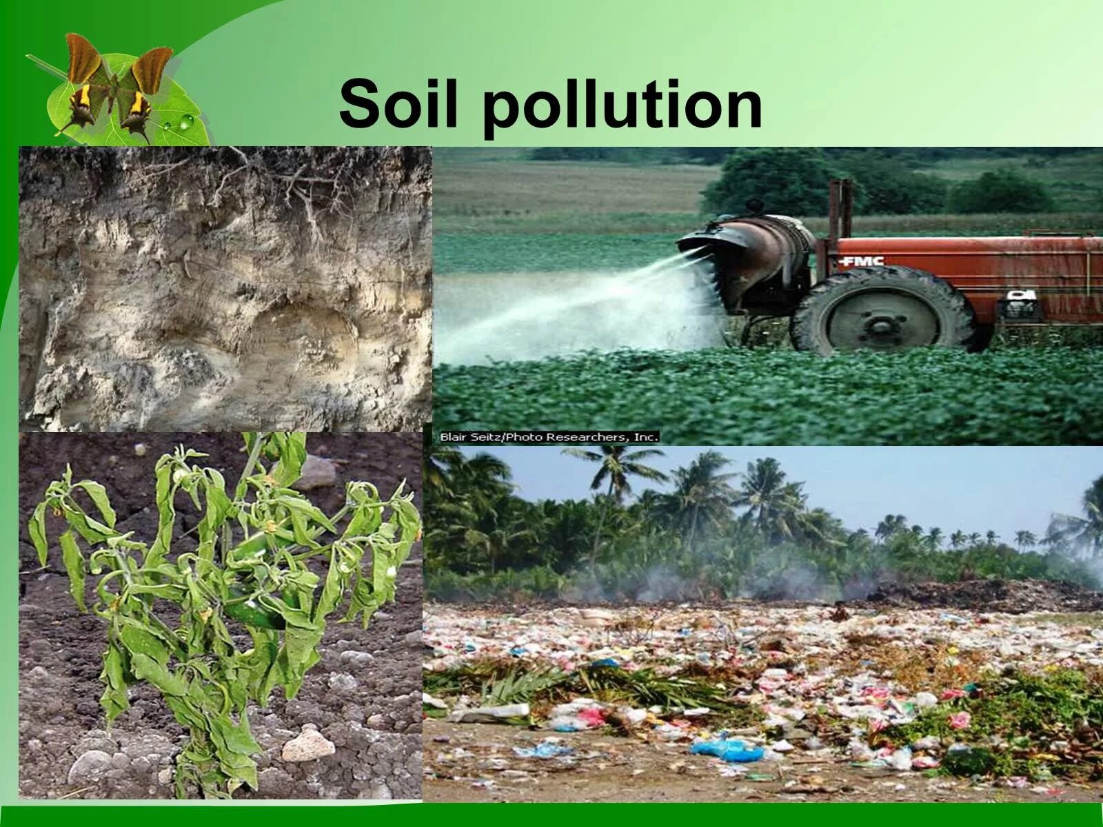 Give a talk about environmental problems