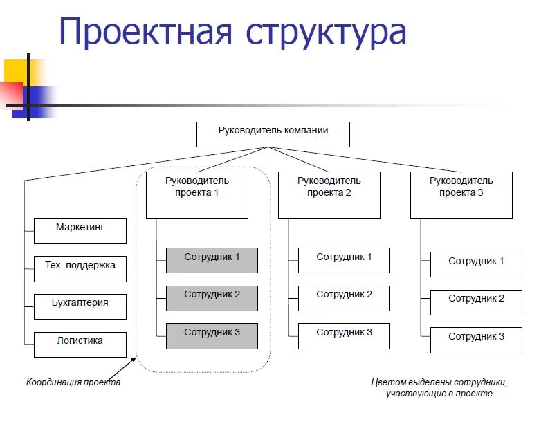 Какая модель используется. Проектная организационная структура управления. Проектная организационная структура предприятия. Проектная организационная структура управления схема. Проектная организационная структура управления предприятием схема.