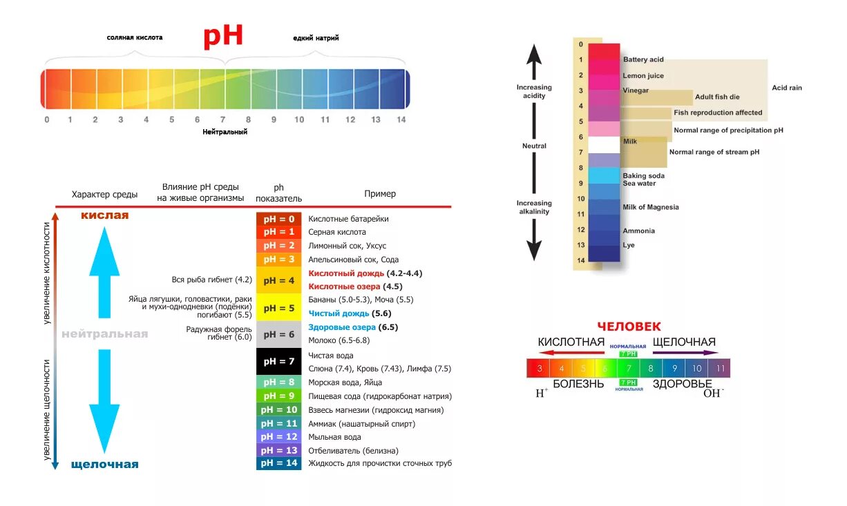 5 7 кислотность. Шкала кислотности PH воды. Показатель кислотности PH таблица. Шкала кислотности-щелочности (PH).. PH таблица кислотности воды.
