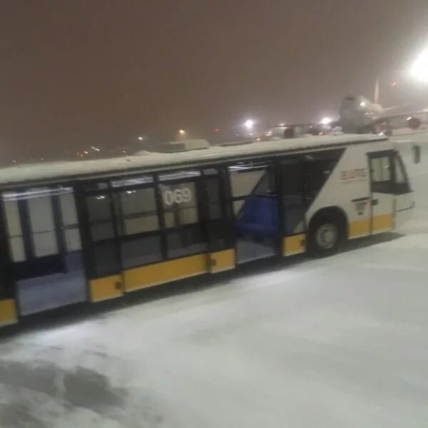 Трансрейс воронеж автобусы. Трансрейс воронеж автобусы. Воронеж москва внуково автобус. Воронеж москва внуково автобус. Воронеж москва внуково автобус.