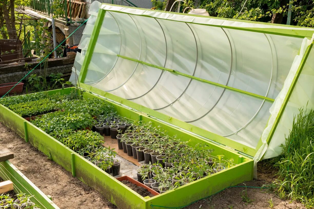 Парники для дачи. Мини гринхаус парник. Парник своими руками. Как сделать парник своими руками для рассады. Мини парники для дачи.