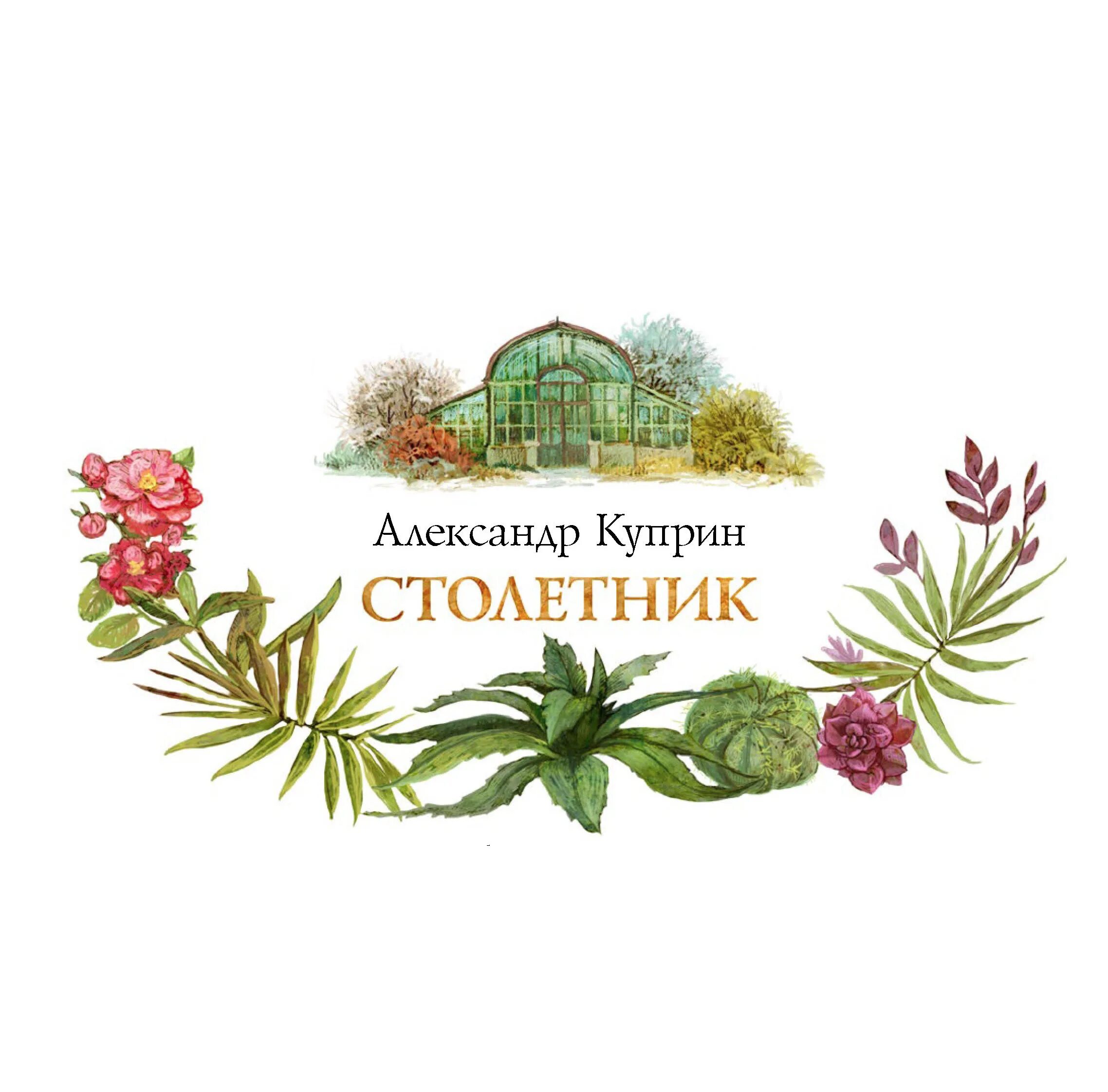 Столетник куприн проблема. Столетник цветок куприн. столетник куприн иллюстрации. столетник по а и куприну.