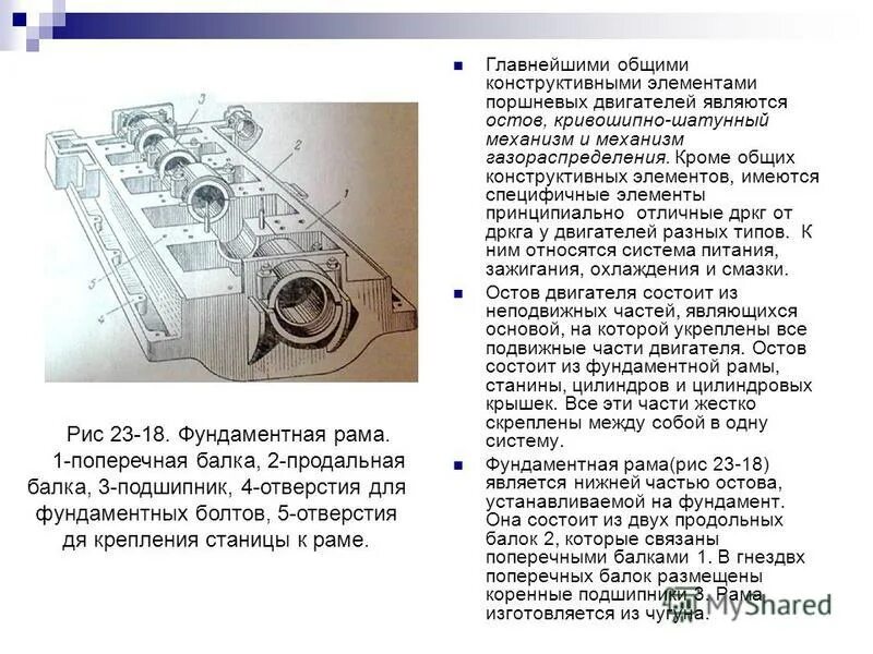 Остов состоит из. Остов состоит из
