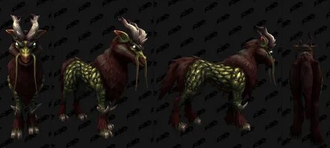 Wow pets
