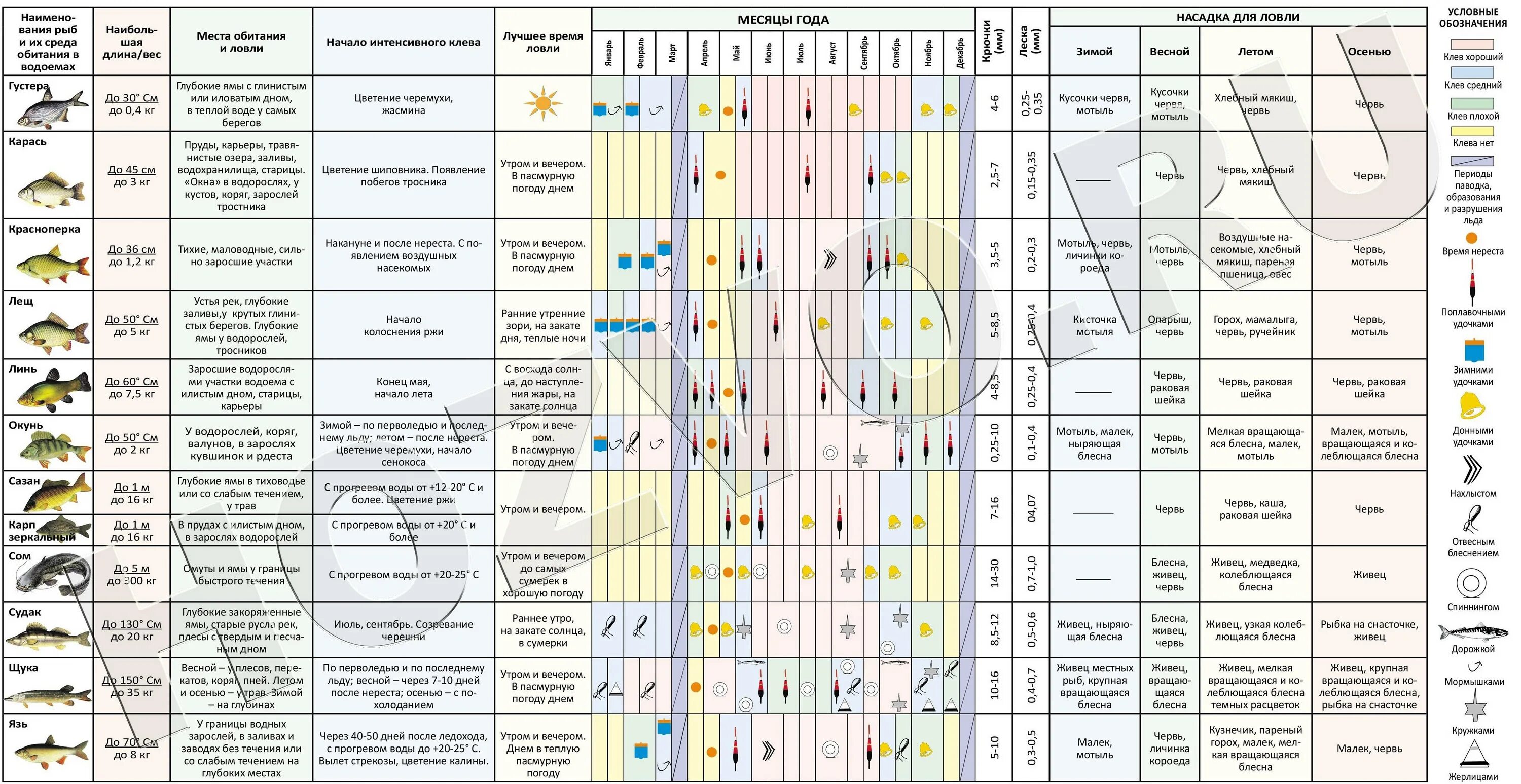 Сроки лова. Таблица давления ловли рыбы зимой. Давление и клев рыбы. При каком давлении клюет рыба. Давление и клёв рыбы таблица.