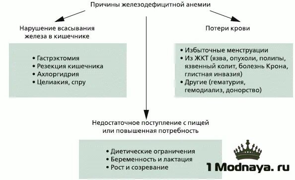 низкий гемоглобин у женщин после 50 причины. норма показателей гемоглобина у мужчин. низкий гемоглобин у женщин после 50 причины. низкий уровень гемоглобина в крови у женщин симптомы. низкий гемоглобин.