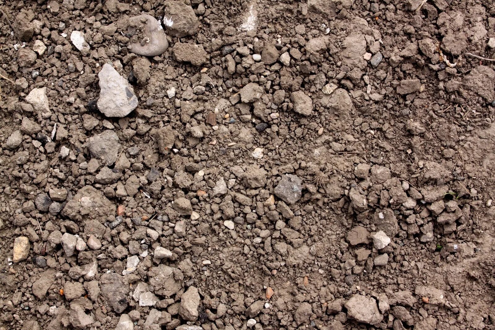 Поднимается грунт. Грунт soil. грунт текстура. рыхлая почва. каменистый грунт.