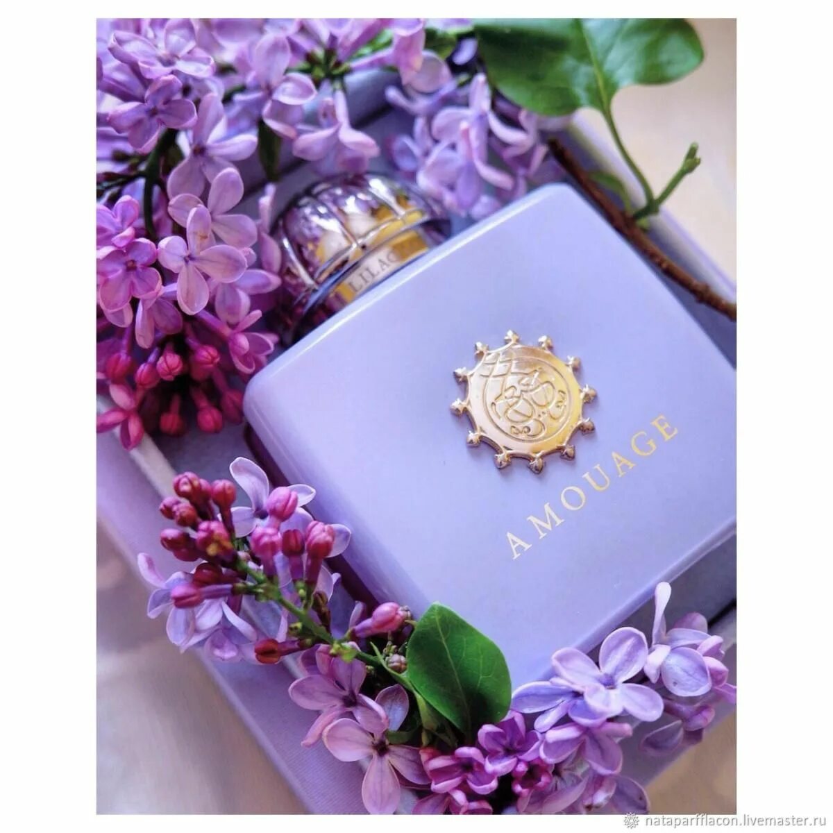 Amouage Lilac Love. Amouage духи сирень. Амуаж сиреневый. Amouage Lilac Love Фрагрантика.