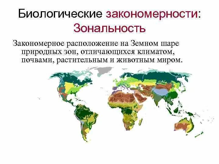 Закономерности расположения природных зон. Природная зональность карта. Природные зоны земного шара. Закономерность размещения растительного покрова на земном шаре