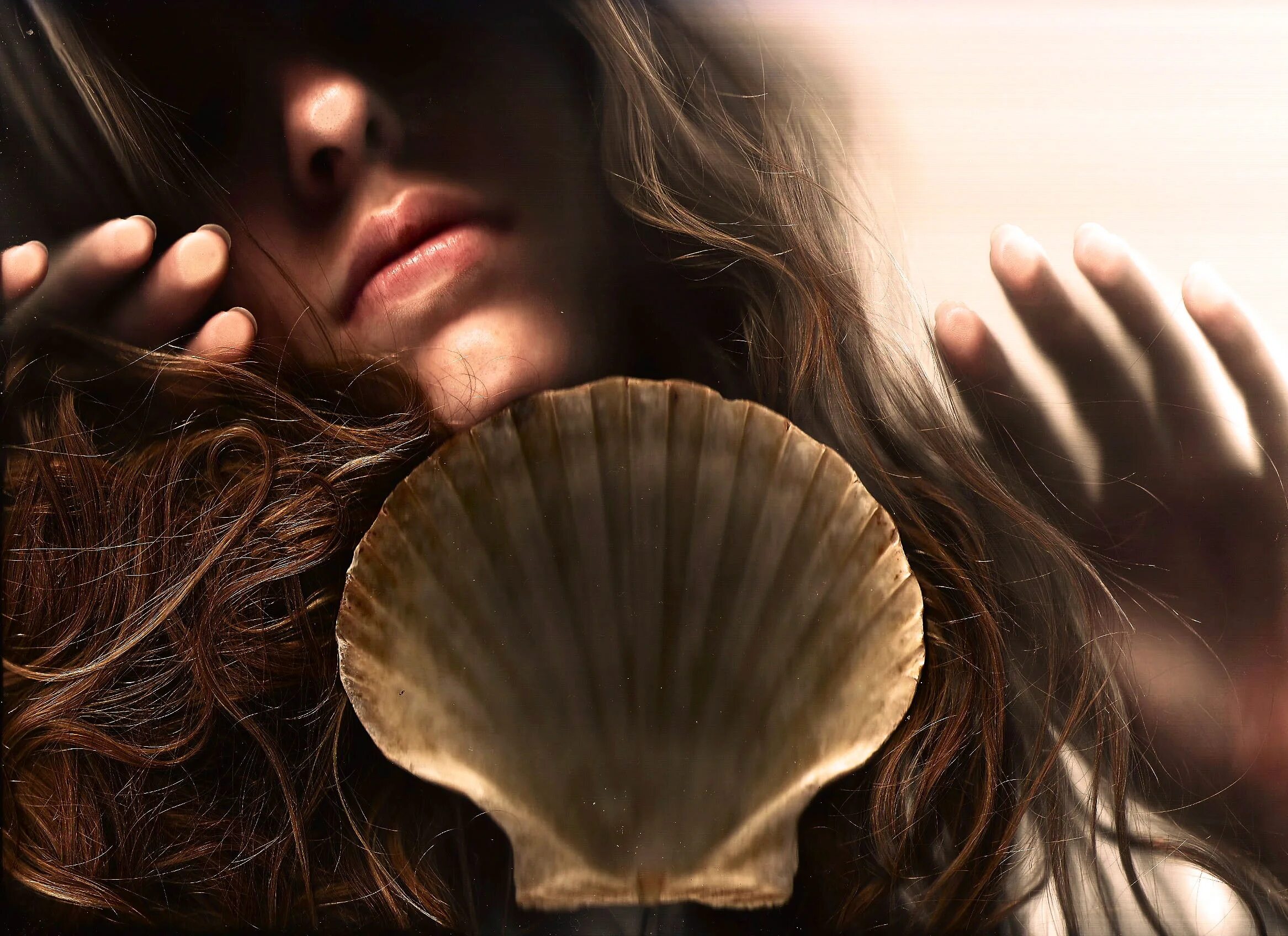 Красивая ракушка девушки. Как выглядит ракушка у девушек фото. Девочка с ракушкой. Девочка с ракушкой. Seashell лоо.