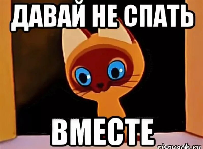 Давай займемся не знаю. Не спать!. Давай спать