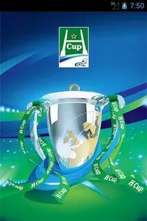 H cup