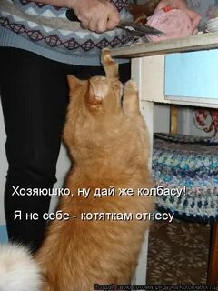 В колбасных обрезках фраза