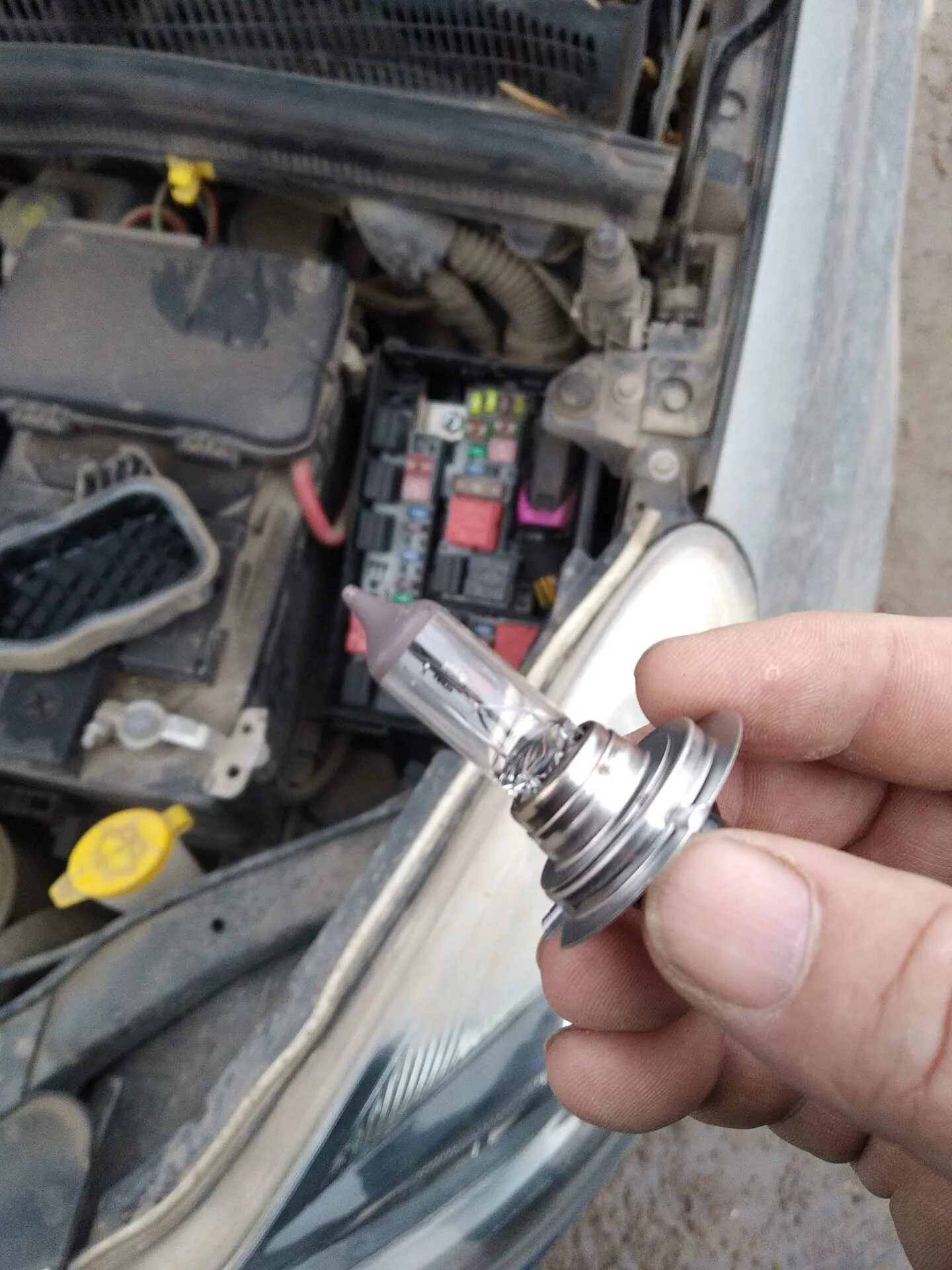 Лампа ближнего света опель корса d 2007. Лампочка ближнего света корса д. Лампа ближнего света фольксваген поло 2014. Лампа ближнего света опель корса d 2008. Лампочка ближнего света опель корса д.