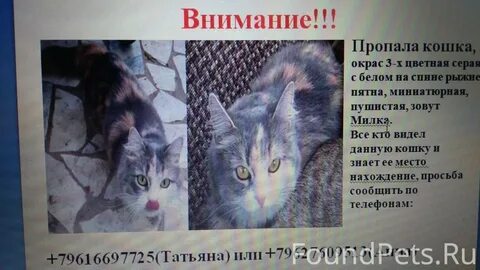 Пропало внимание