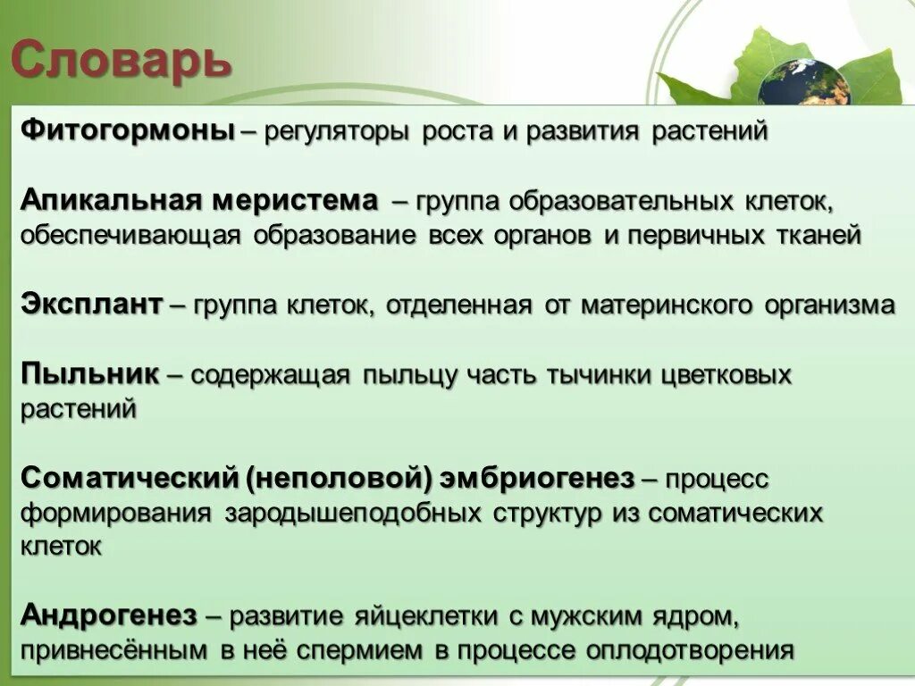 Влияние фитогормонов на рост. Фитогормоны растений. Гормоны роста растений. Гормоны растений и их роль. Регуляторы роста и развития растений.