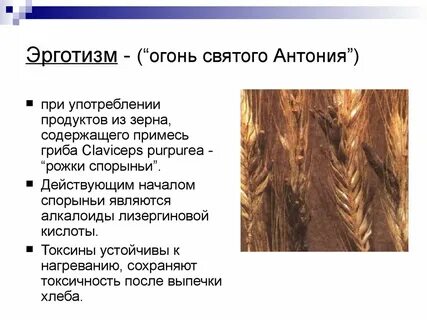 Эрготизм симптомы