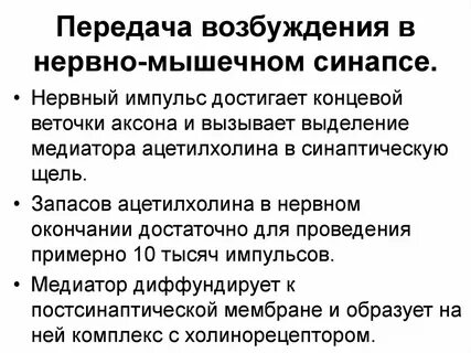 Медиатором в синапсах скелетных мышц является