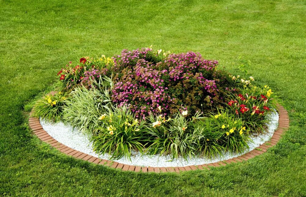Créer un parterre de fleurs rond : idées et conseils à suivre