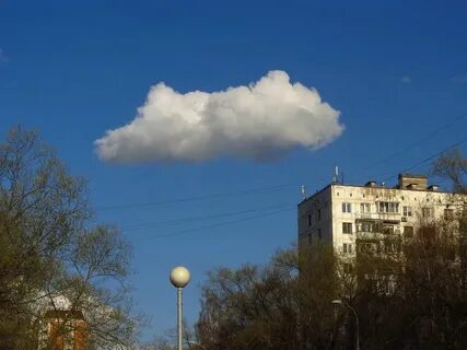 В воздухе запахло абрикосовой