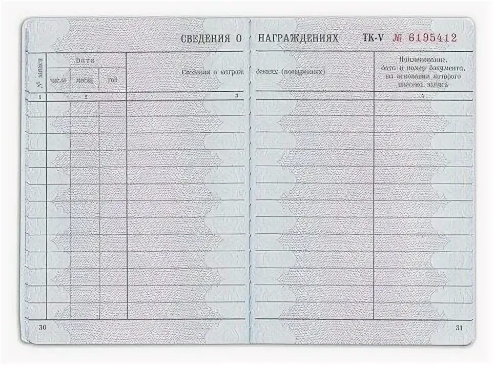 бланки трудовых книжек. образец листа трудовой книжки. трудовая книжка страницы. вкладыш в трудовую книжку разворот. пустой лист трудовой книжки.