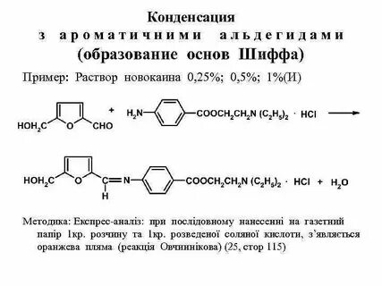 Образование оснований