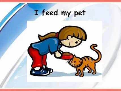 Feed my pet