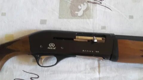 Алтай 12