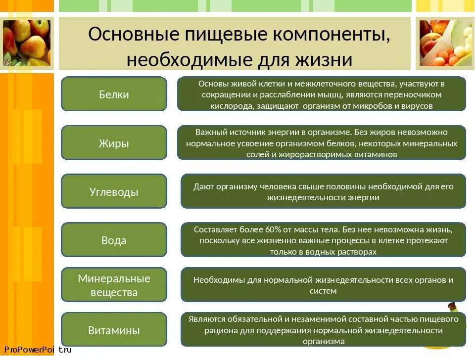 Белки жиры углеводы витамины роль. Белки жиры углеводы функции. Белки жиры углеводы таблица функции. Функции белков жиров и углеводов в организме человека. Основные жизненные результаты