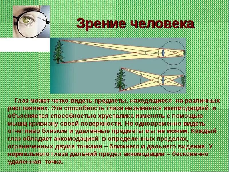 Дальность зрения человека. Возможности человеческого глаза. Расстояние зрения человека. Дальность видимости человеческого глаза.