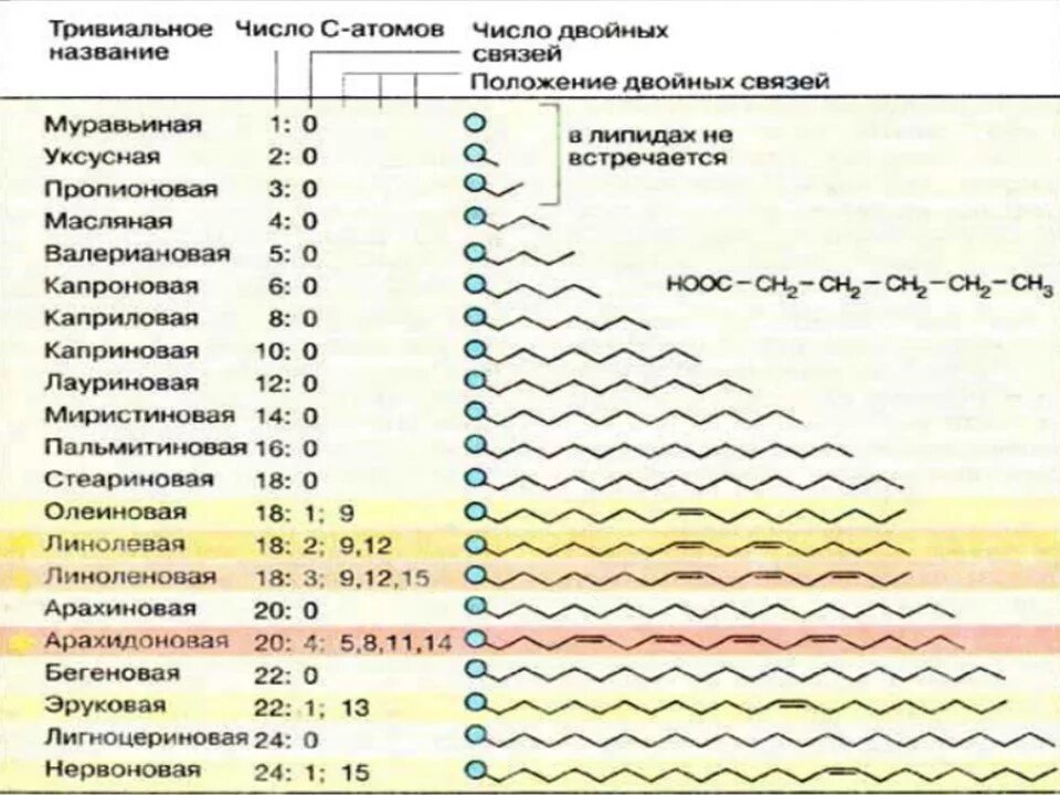 Хромовая и дихромовая кислоты. Хром и его соединения. Хром +3 в щелочной среде. Двухромовая кислота структурная формула. Кислоты хрома.