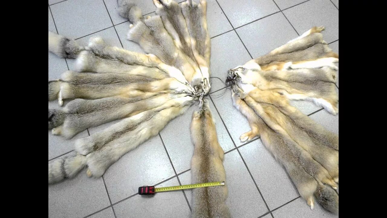 Что можно сделать со шкурок