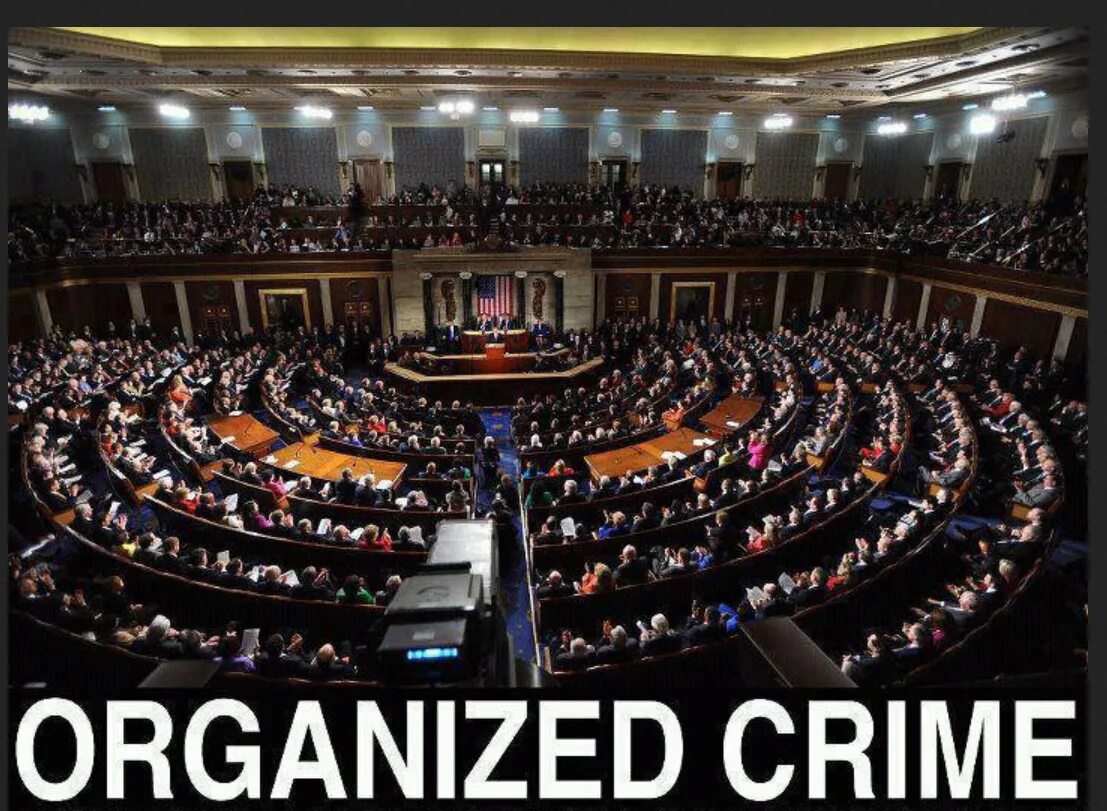 Organized crime. Carrier in organized crime government. suspected organized crime activity: vice control.
