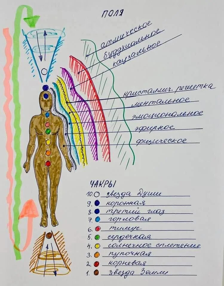 Чакры человека. Чакры в теле человека. Чакры на теле. Энергетические тела и чакры человека. Открыть каналы удачи
