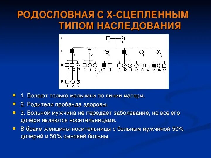 Типы наследования в генетике с примерами Аутосомно доминантное наследование заболеваний