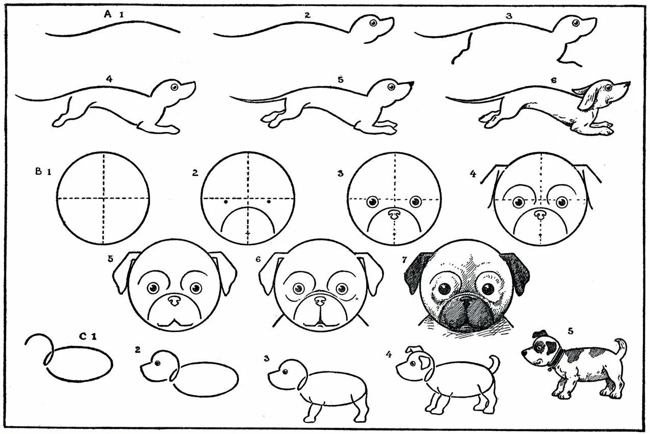 Схема собаки рисунок. Рисование животных для детей. Схема рисования животных для детей. Пошаговое рисование собаки для детей. Рисунок собаки для срисовки.