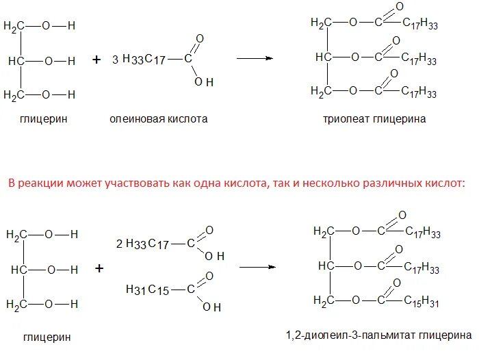 Реакция образования жира. Получение жиров из глицерина и карбоновых кислот. Реакция образования жира из глицерина. Реакция этерификации жиров. Реакция получения жиров.